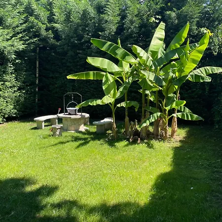 Gyoparosi Napsugar Vendeghaz Holiday home